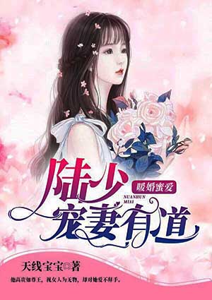 暖婚蜜爱:陆少宠妻有道
