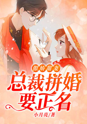 傲娇甜妻:总裁拼婚要正名