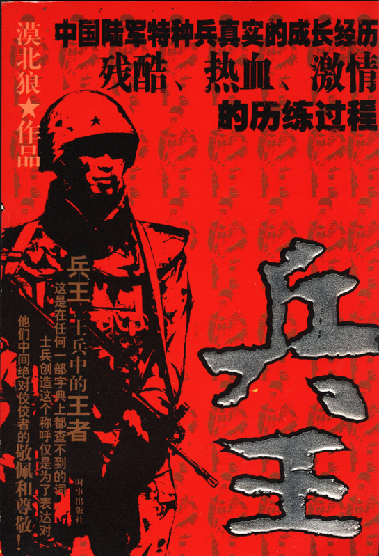 兵王鸿飞