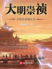 大明崇祯:开局启用阎应元