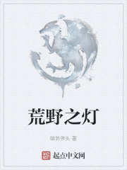 荒野之灯
