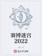 赛博迷宫2022