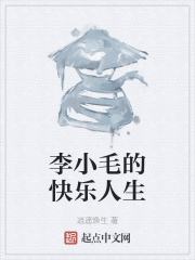 李小毛的快乐人生