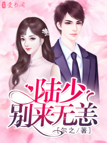 陆少,别来无恙