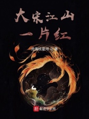 大宋江山一片红