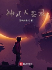 神武天鉴录