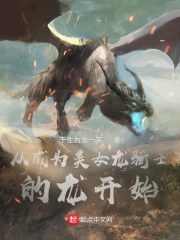 从成为美少女龙骑士的龙开始