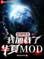 全球领主:我加载了华夏MOD