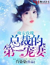 晚安玫瑰,总裁的第一宠妻