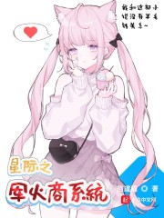 星际之军火商系统