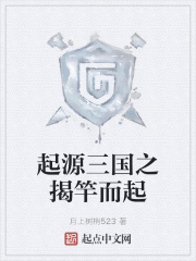 起源三国之揭竿而起