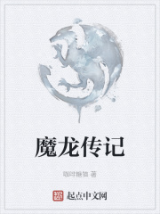 魔龙传记