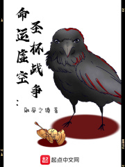 命运虚空:圣杯战争