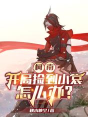 柯南:开局捡到小哀怎么办?