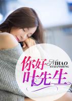 你好,叶先生