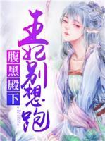 腹黑殿下:王妃别想跑