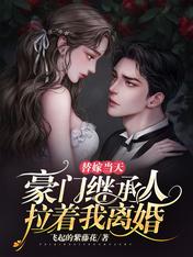 替嫁当天,豪门继承人拉着我离婚