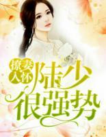 撩妻入怀:陆少很强势