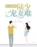 娇妻很甜:陆少宠妻难