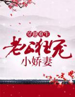 穿越重生:老公狂宠小娇妻