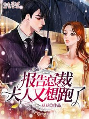 报告总裁,夫人又想跑了