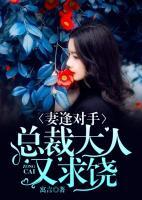 妻逢对手:总裁大人又求饶