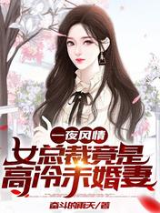 一夜风情,女总裁竟是高冷未婚妻