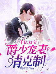千亿双宝:爵少宠妻请克制