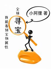 全球寻宝:我能看到宝物属性