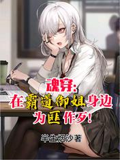 魂穿:在霸道御姐身边为匪作歹!