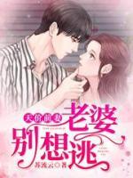 天价前妻:老婆别想逃