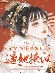 清穿:惊!狗系统天天逼她撩汉