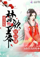 重生第一傲妃