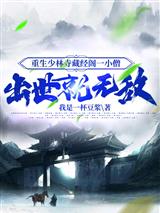重生少林寺藏经阁一小僧,出世就无敌!