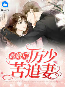 离婚后厉少苦追妻