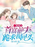 一胎两宝:首富前夫跪求我回头