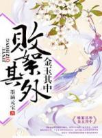 败絮其外,金玉其中