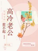 顶级宠婚:高冷老公惹不起
