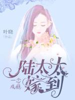 一念成瘾,陆太太嫁到