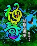 神奇蚂蚁在哪里!