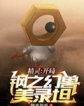 精灵:开局钢之幻兽美录坦