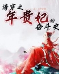 清穿之年贵妃的奋斗史
