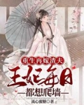 重生再嫁渣夫,王妃每日都想爬墙