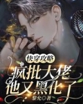 快穿攻略:疯批大佬他又黑化了