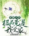 穿越古代,极品竟是我全家