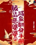 极品恶婆婆的咸鱼翻身手册