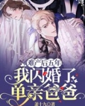 难产后五年,我闪婚了单亲爸爸