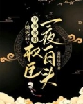 她死后,冷冰冰的权臣一夜白头