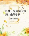 红楼:穿成黛玉姨妈,坐等守寡