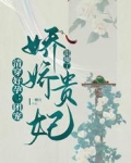 清穿好孕:团宠娇娇贵妃甜爆了